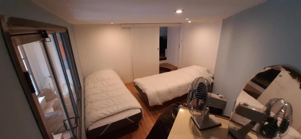 Appartamento Duplex Industriel Au Coeur De Lione Esterno foto